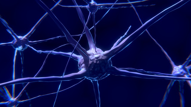 Neuroplastizität Neuronen